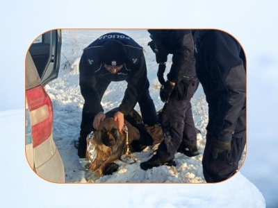 Pies przymarzł do pobocza. Policjanci skuli lód i uratowali mu życie