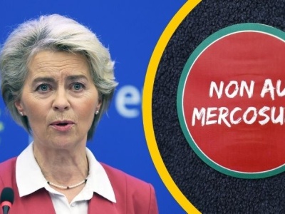 Umowa Mercosur skierowana do TSUE. Niemcy wściekli