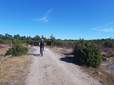 15 organizacji wzywa UE do uczynienia turystyki aktywnej filarem zrównoważonego podróżowania w Europie