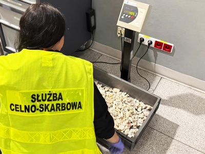 Turysta przywiózł z Seszeli 5 kg rafy koralowej. Polak twierdził, że to „pamiątka”