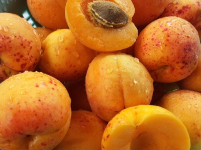 Nowe paliwo do pieców może zrewolucjonizować rynek. Tańsze od pelletu i z pożytkiem dla ogrodu