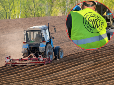 Rolnik może stracić dopłaty. Inspekcja ujawnia wyniki kontroli