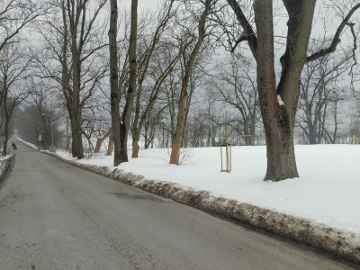 Śnieg, konie i sanie. Przy Parku Sanguszków zorganizują tradycyjny kulig