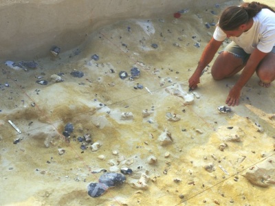 W Wielkiej Brytanii znaleziono jedno z najstarszych narzędzi z kości słonia. Służyło do retuszu