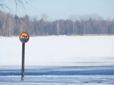 Bez zysków do końca 2026 roku. Mamy odpowiedź urzędu odnośnie Sosiny