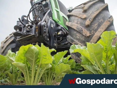 Będzie tymczasowa umowa z Mercosur?