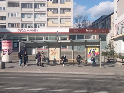 Darmowa komunikacja, ale nie darmowa w aplikacjach. ZTP tłumaczy, dlaczego pasażerowie wciąż widzą opcję zakupu biletów