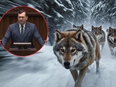 Rolnicy tracą zwierzęta, odszkodowań brak. Minister apeluje o pilną zmianę