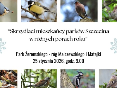 Spacer śladami skrzydlatych mieszkańców parków Szczecina