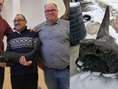 Kopali staw na działce. Znaleźli przyrodniczy skarb