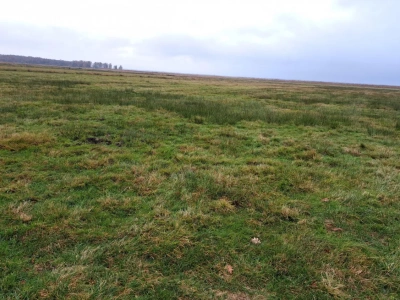 Dopłaty bezpośrednie 2026. Ważne zmiany w GAEC i dobrostanie