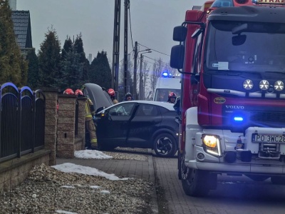 Wjechała w ogrodzenie posesji (ZDJĘCIA)