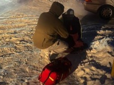 Wracał z nocnej służby. Zatrzymał auto. Wstrząsający widok na poboczu