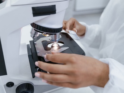 Kora sosnowa oczyszcza ścieki nawet z 90% antybiotyków i pozostałości leków – nowe badanie