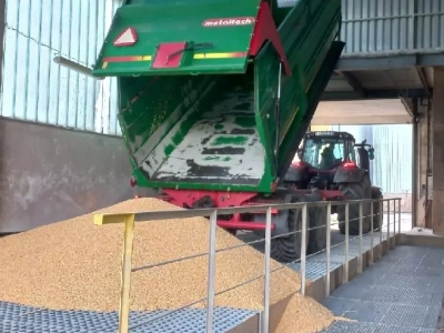 Ceny zbóż stoją, nawozy mocno w górę. A co ze świniami i bydłem?