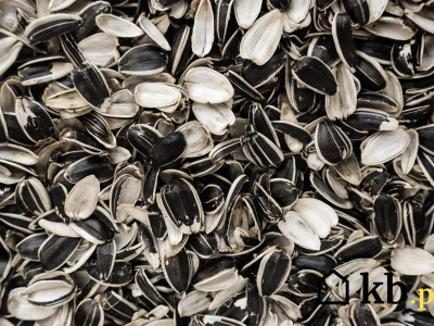 Coraz więcej osób pali tym w kotłach. Kusi niska cena, ale nie każdy kocioł to wytrzyma