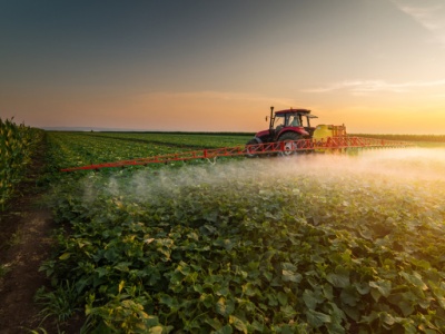 Dopłaty tylko dla aktywnych rolników. Sejm uchwalił ustawę
