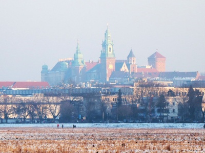Ślub jak z bajki na Wawelu? Prezydent Krakowa udzieli go osobiście. Jest jeden warunek