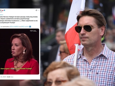 Dawno niewidziany Lis 