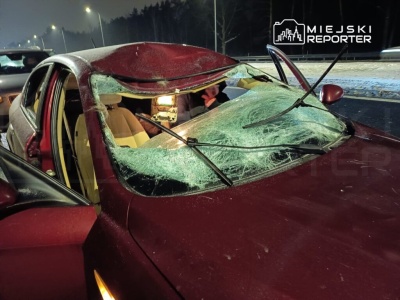 Zderzenie z łosiem na Wawrze i na Bielanach zablokowało ruch na kilka godzin