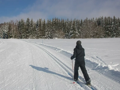 50 km tras na narty 30 minut od centrum Warszawy. Spokój i dużo śniegu