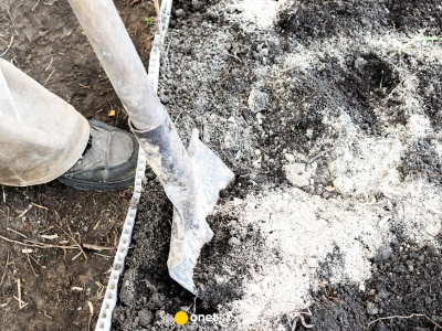 Teraz jest najlepszy czas na nawożenie grządek popiołem. O tym trzeba pamiętać