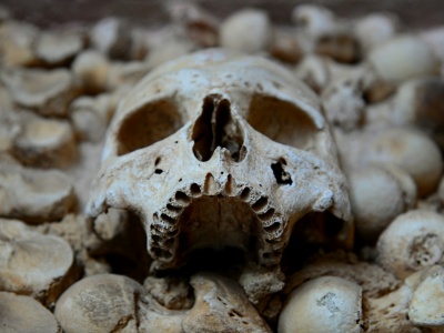 Kości, rany i masowe groby. Co archeologia mówi o przemocy dawnych ludzi