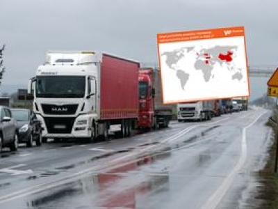 Pleśń i żywe szkodniki. To znaleźli w żywności wiezionej do Polski