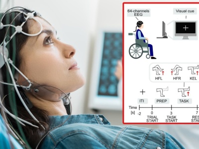 Sparaliżowane osoby odzyskają sprawność dzięki falom mózgowym?