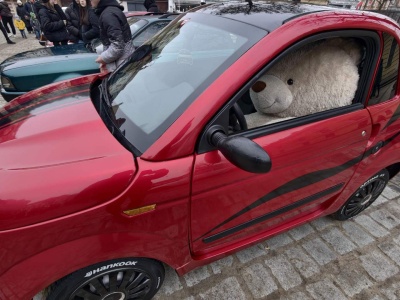 Motoryzacja, służby i wspólna energia pomagania na ostrowskim Rynku (ZDJĘCIA)