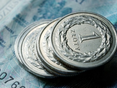 Minister finansów: Mamy coraz więcej argumentów za utrzymaniem złotego i niewprowadzaniem euro