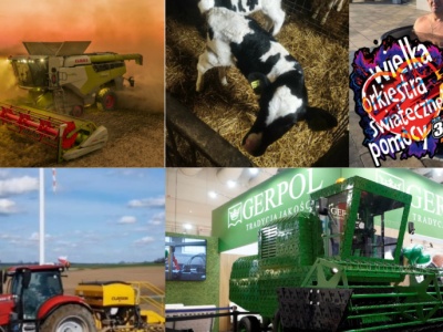 Nietypowe rolnicze aukcje WOŚP przyciągają licytujących. Kombajny, zwierzęta i wyzwania z ministrami