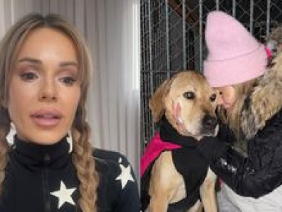 Doda kończy działania pomocowe na rzecz schronisk. 