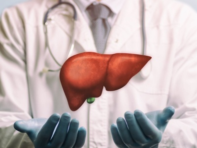 Przełom w transplantologii. Fragment wątroby 3D bez immunosupresji