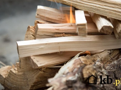 Większość ludzi rozpala kominek źle. Ta metoda jest lepsza