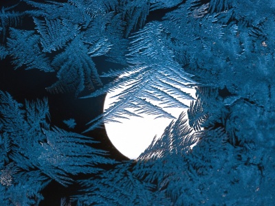 Śnieżny Księżyc – 1 lutego pełnia w Lwie zapyta, czy jesteśmy autentyczni 