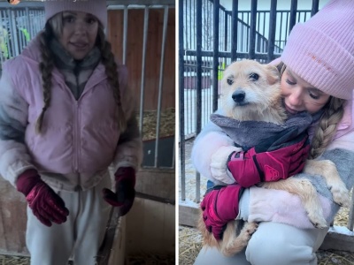 Doda ruszyła na pomoc do kolejnego schroniska. Zaapelowała do fanów