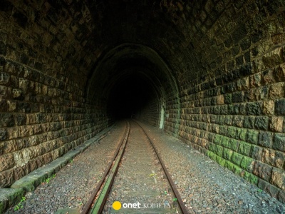 Zgoda na badania w sprawie 