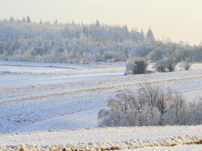 ​Szlakiem królewskich ruin, krasowych jaskiń i ludowych tradycji, czyli zima w Świętokrzyskiem