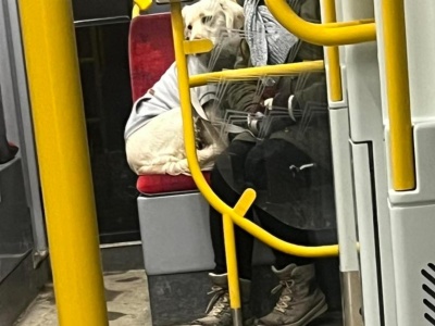 Oburzył go pies, który podróżował na siedzeniu w stołecznej komunikacji. 