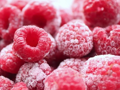 Nowoczesne przetwórstwo malin na Ukrainie: jak lokalna fabryka wchodzi na rynek UE