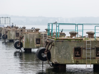 Polska i Niemcy łączą siły w regionie Bałtyku. Chodzi o zdrowsze powietrze