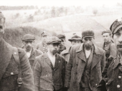 Francuzi twierdzą, że Polacy prowadzili czystki etniczne na Ukraińcach po II WŚ