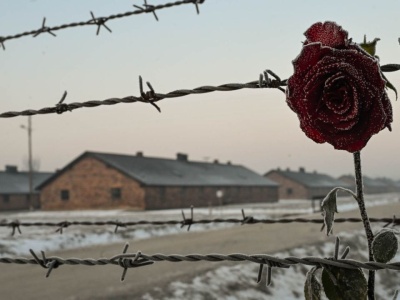 Wstrząsające świadectwo Stefanii Wernig, urodzonej w Auschwitz. „Przyszłam na świat w piekle”