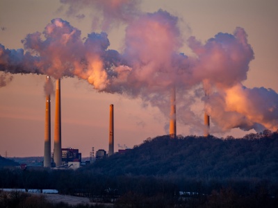 Na niszczenie przyrody wydajemy znacznie więcej niż jej ratowanie. ONZ alarmuje