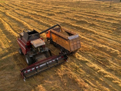 Blokada importu z zakazanymi pestycydami coraz bliżej. WIR: Łatwo będzie go obejść