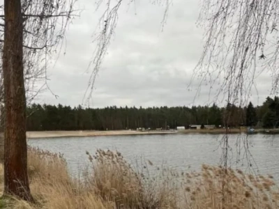 Wstrząsające sceny nad stawem pod Wrocławiem. 