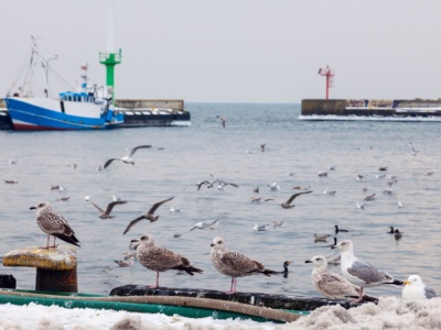 Dalej nie ma już niczego. TOP 5 miast na końcu Polski zdaniem AI