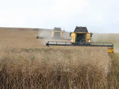 Umowa z Mercosur. Rolnicy panikują, nasz strategiczny sektor się cieszy