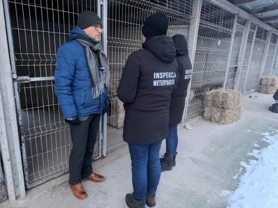 Schronisko „Happy Dog” w Sobolewie zamknięte. „Znęcał się”